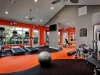 Gyms with Timber Floors