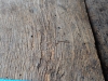 Industrial Original Patina French Oak Parquetry